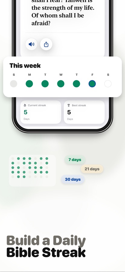Bible reading streak progress
